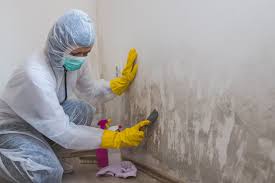 Mold Remediation for Rental Properties in Henagar, AL